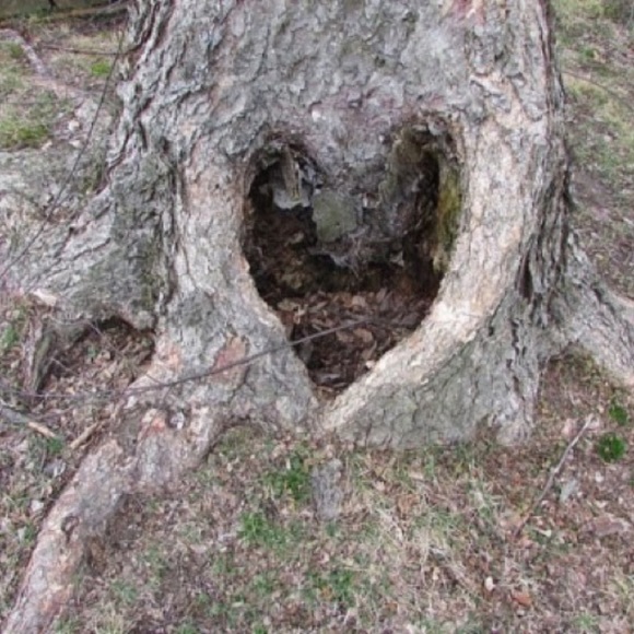 Meet your Posher, Layna - Picture 1 of 1